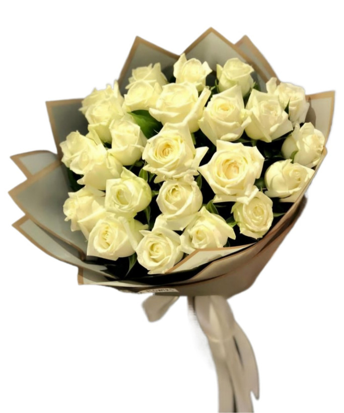 دسته گل رز هلندی سفید ۲۵ شاخه