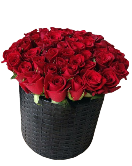باکس رز هلندی ۵۰ شاخه