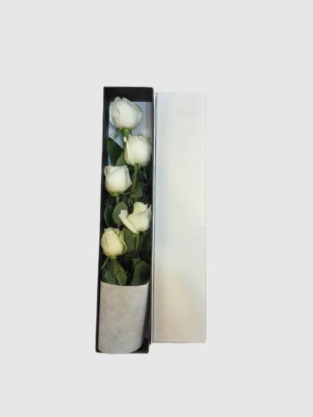باکس کتابی رز هلندی سفید 5 شاخه