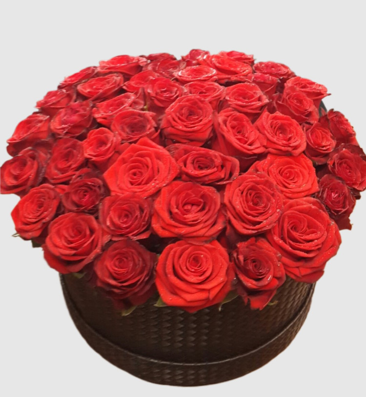 باکس گل ۵۰ شاخه رز هلندی درشت