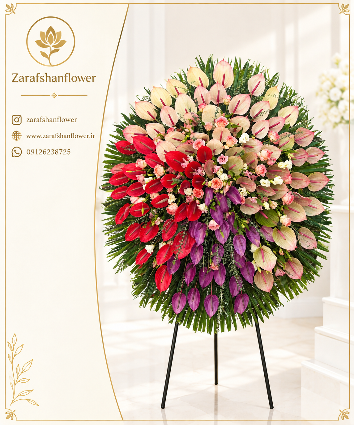 پایه ویولتا